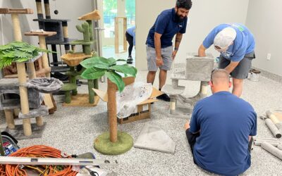 The Cat Corner: Excitement Builds for the New Cattery at Hallie Hill