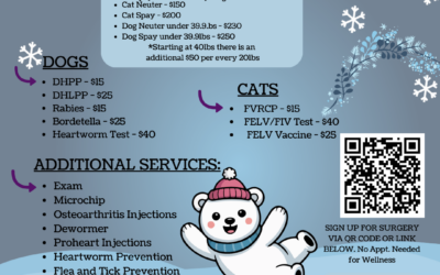 PETSinc Mobile Vet Clinic Returns to Hallie Hill This January