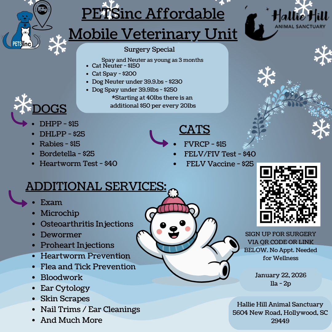 Hallie Hill 61925 (3) Hallie Hill & PETSinc Affordable Mobile Veterinary Unit