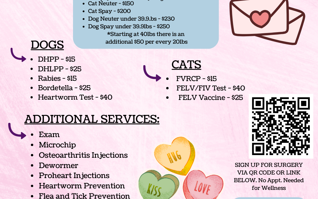 PETSinc Mobile Vet Clinic Returns to Hallie Hill This February