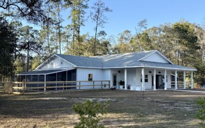 The Cattery Is Open for Business at Hallie Hill