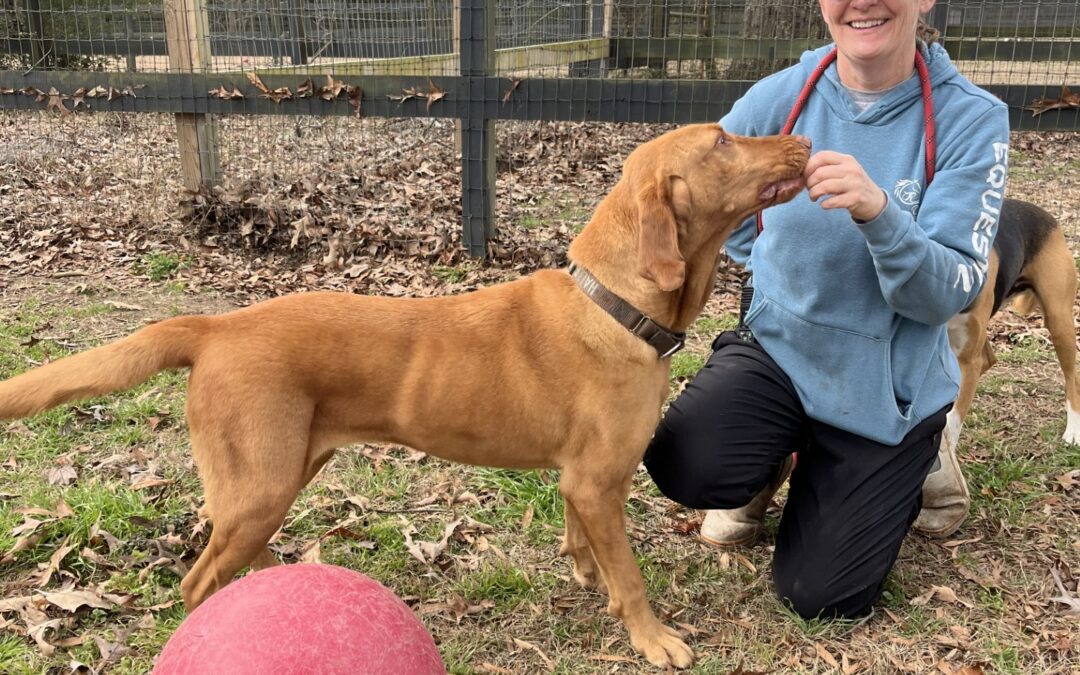 Volunteer Spotlight: Erin Nosker