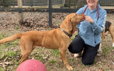 Volunteer Spotlight: Erin Nosker