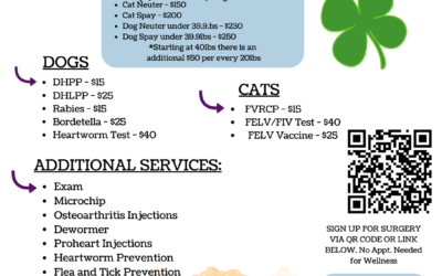 PETSinc Mobile Vet Clinic Returns to Hallie Hill This March