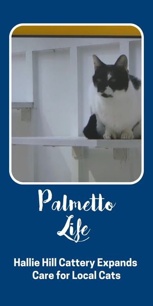 HH In the News Full Images-2