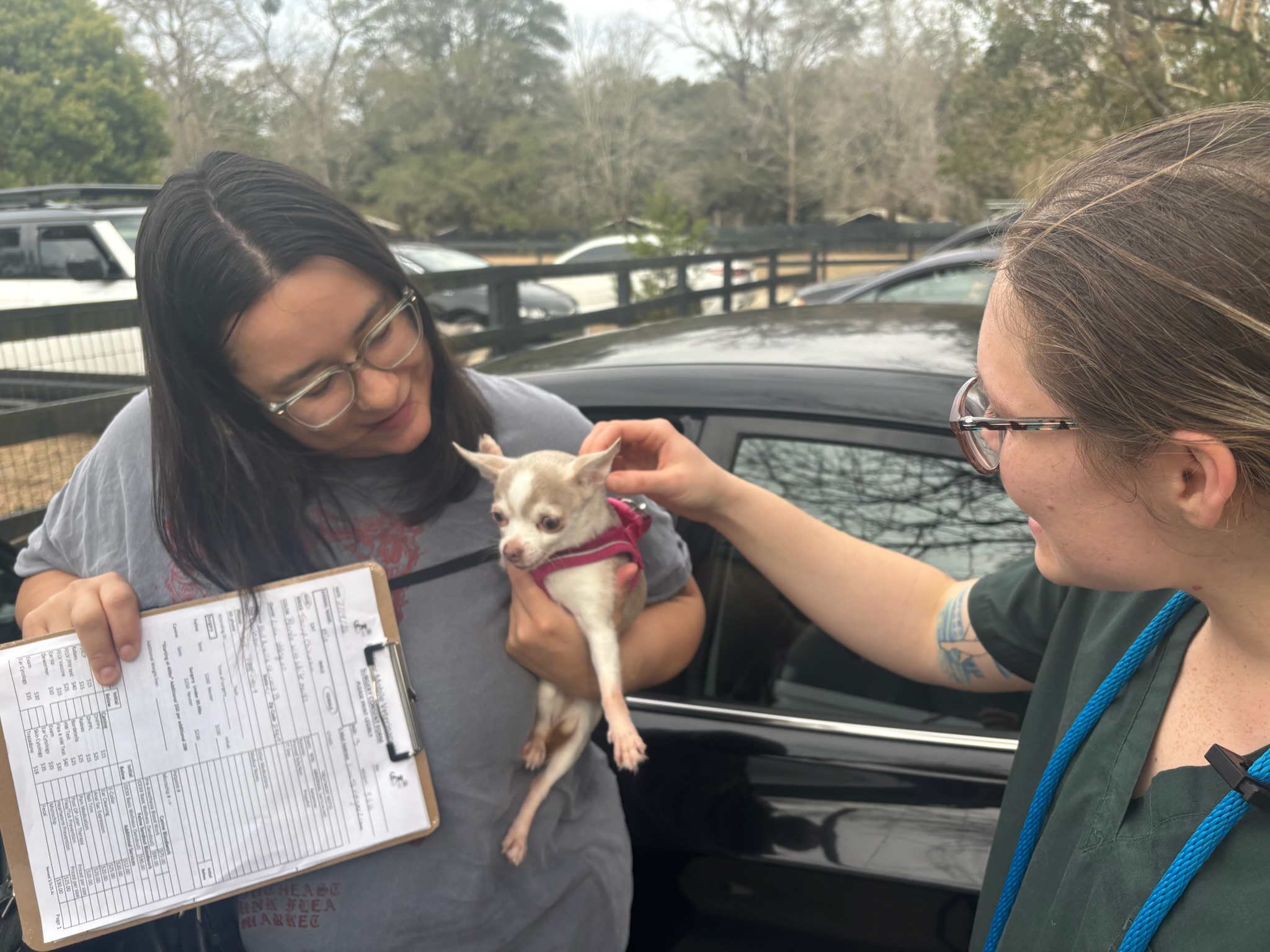Dogs arriving to check in