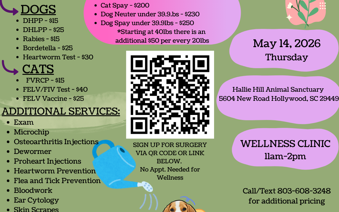 Affordable Veterinary Care Returns to Hallie Hill with the PETSinc Mobile Veterinary Unit