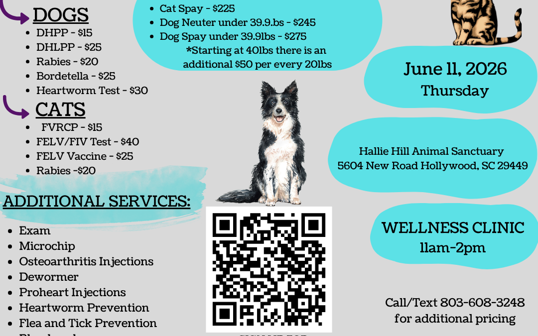 Affordable Veterinary Care Returns to Hallie Hill on June 11