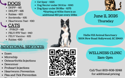 Affordable Veterinary Care Returns to Hallie Hill on June 11