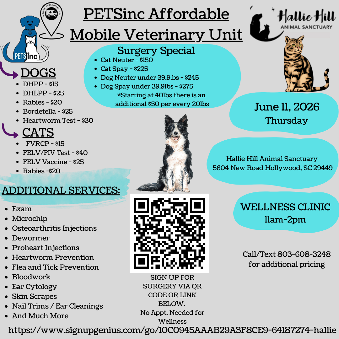 Hallie Hill & PETSinc Affordable Mobile Veterinary Unit