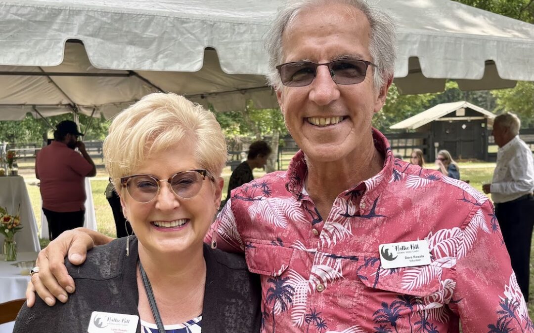 Volunteer Spotlight: Celebrating Dave and Lynn Rosato