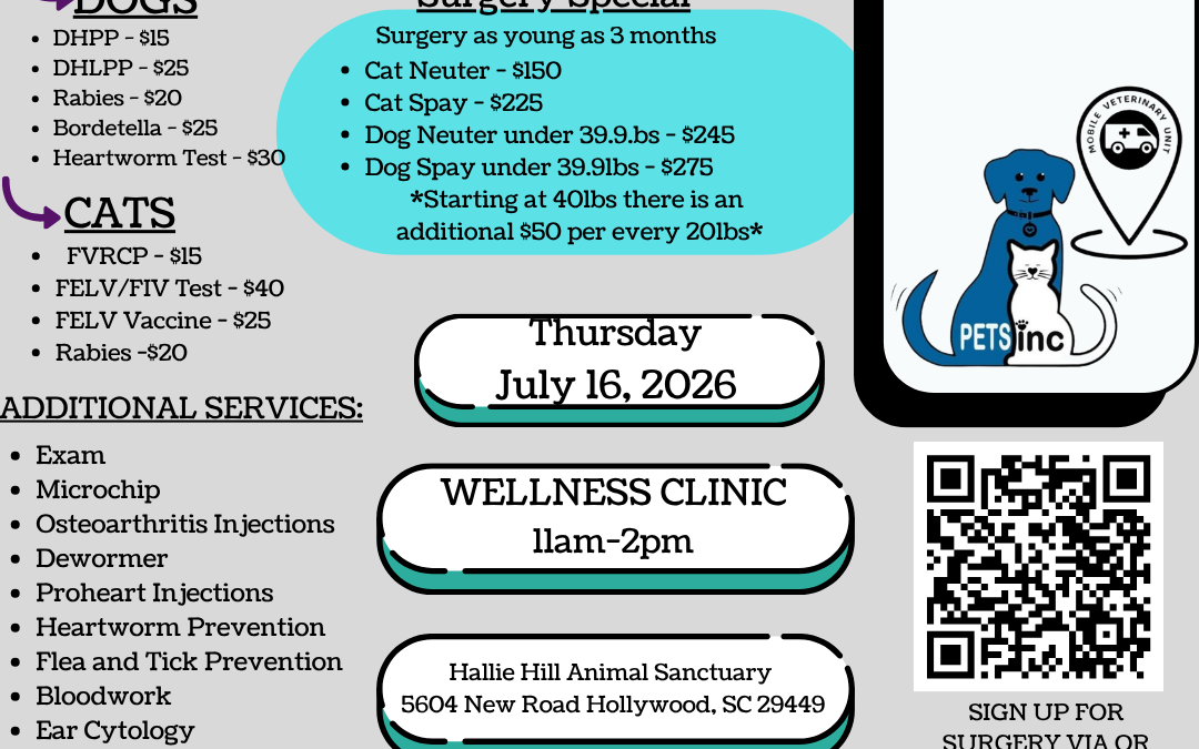 Affordable Veterinary Care Returns to Hallie Hill on July 16