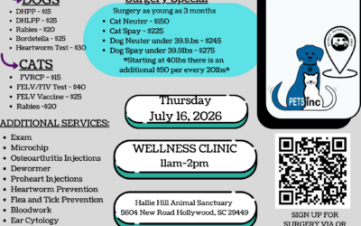 Affordable Veterinary Care Returns to Hallie Hill on July 16