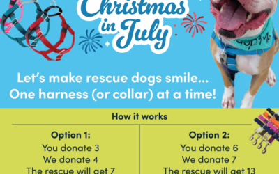 Christmas in July: Give the Gift of Comfort This Summer