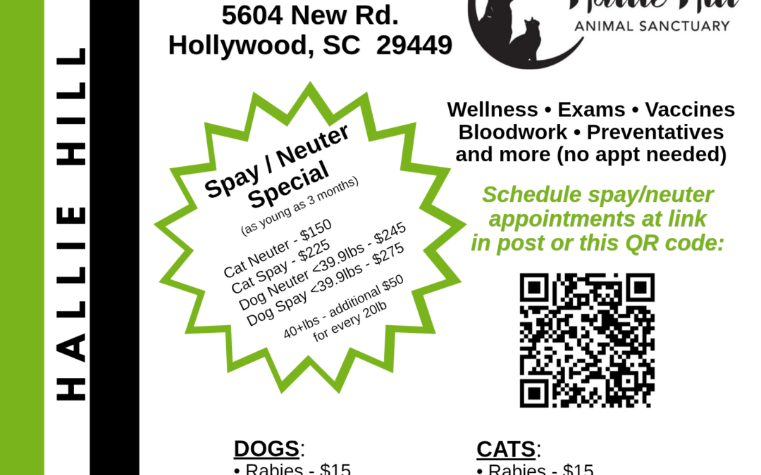 Affordable Veterinary Care Returns to Hallie Hill This August