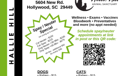 Affordable Veterinary Care Returns to Hallie Hill This August