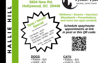 September PETSinc Mobile Vet Clinic Returns to Hallie Hill