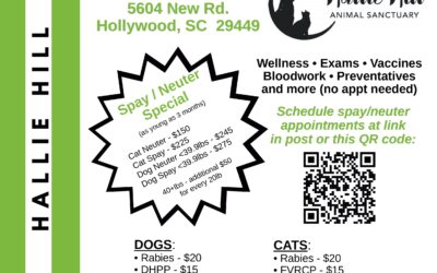 PETSinc Mobile Veterinary Unit Returns to Hallie Hill This October